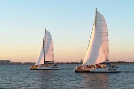 La Rochelle: Catamaran Cruise