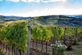 Chianti Safari: Tuscan Villas with vineyards, Cheese, Wine & Lunch from Florence