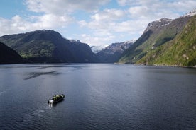 乌尔维克风景区 RIB 奥萨峡湾探险之旅