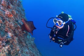 Tauchabenteuer in kleiner Gruppe an der Costa Brava