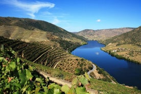 Tour della valle del Douro: visita a tre vigneti con degustazione di vini e pranzo