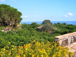 Il Limoneto - Azienda Agrituristica