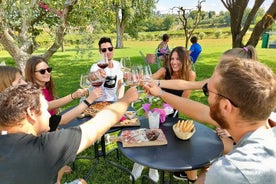 Vinsmaking med lokal mat på Lazise-landsbygda