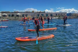 Stand Up Paddleboard Rental at Amager Beach