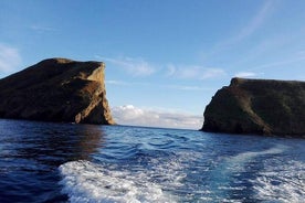 ボートトリップヤギの島+シュノーケリング+スキューバダイビング