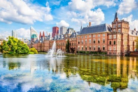 Private Direct Transfer from Eindhoven to The Hague