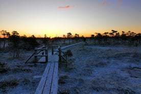 Soluppgång vid Kemeri nationalpark + Jurmala