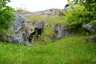 Aillwee Cave