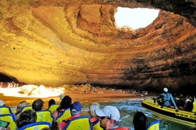 Grottor och Dolphin Watching Cruise från Albufeira