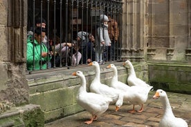 History of Barcelona, private family tour.