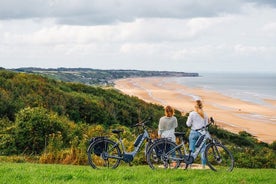 Elektrisch unterstützter Fahrradausflug (E-Bike) / E-Bike-Ausflug selbst geführt