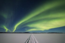 Frá Saariselkä: Norðurljósatúr til Inarivatns, með kvöldverði