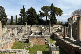 Salona & Amphitheater - Private guided tour - Admission incl.