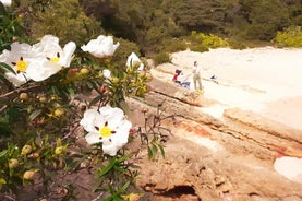 Excursão de jipe para Arrábida, a praia mais bonita da Europa