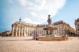 Bordeaux Must-See Attractions Walking Tour With A Guide