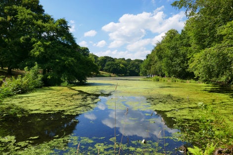 Roundhay Park, Leeds, West Yorkshire, England.