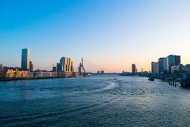 Visite privée : visite à pied de Rotterdam avec croisière dans le port