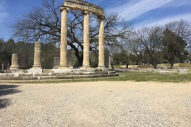 Ancient Olympia: Private Tour site, museum, bee farm, winery