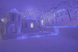 Visit Snow Village (private tour from Levi)