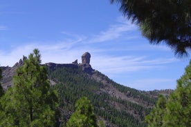 Excursão de dia inteiro à ilha de Gran Canaria - Cumbres