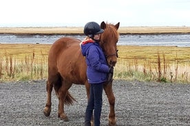 プライベート ゴールデン サークル ツアーと乗馬