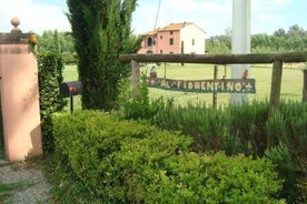 Bed & Breakfast Il giardino del pettirosso