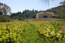 Dégustation de vins bio à Céphalonie