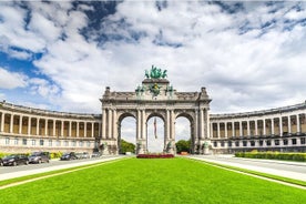 Bruxelles: tour in bici di 3 ore con guida (tour privato)