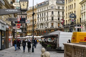 Private transfer from Budapest to Vienna with optional 2-hour stop in Bratislava