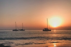 2 uur dolfijnen zonsondergang zeilcruise met drankje