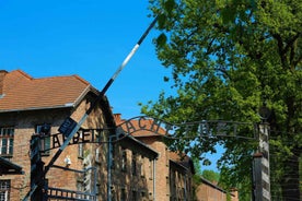 Frá Krakow: Auschwitz Safn og Wieliczka Saltnámuferð