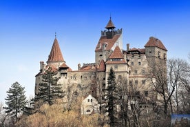 Da Cluj: tour del castello della Transilvania