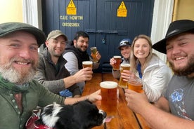 Caminhada costeira de Dublin e cervejas e cachorrinhos