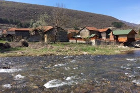 Excursión de un día a Stara Plana