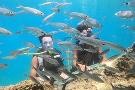 Buceo con Bout Tours