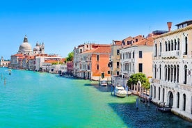 Full Day Venice Shore Excursion from Trieste