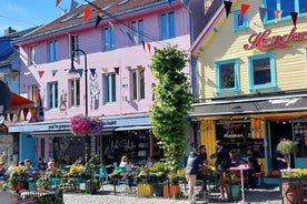 Stavanger: City Highlights Bus and Walking Tour