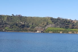 Dante's Inferno Narrative Tour on Lake Averno, Pozzuoli, Naples