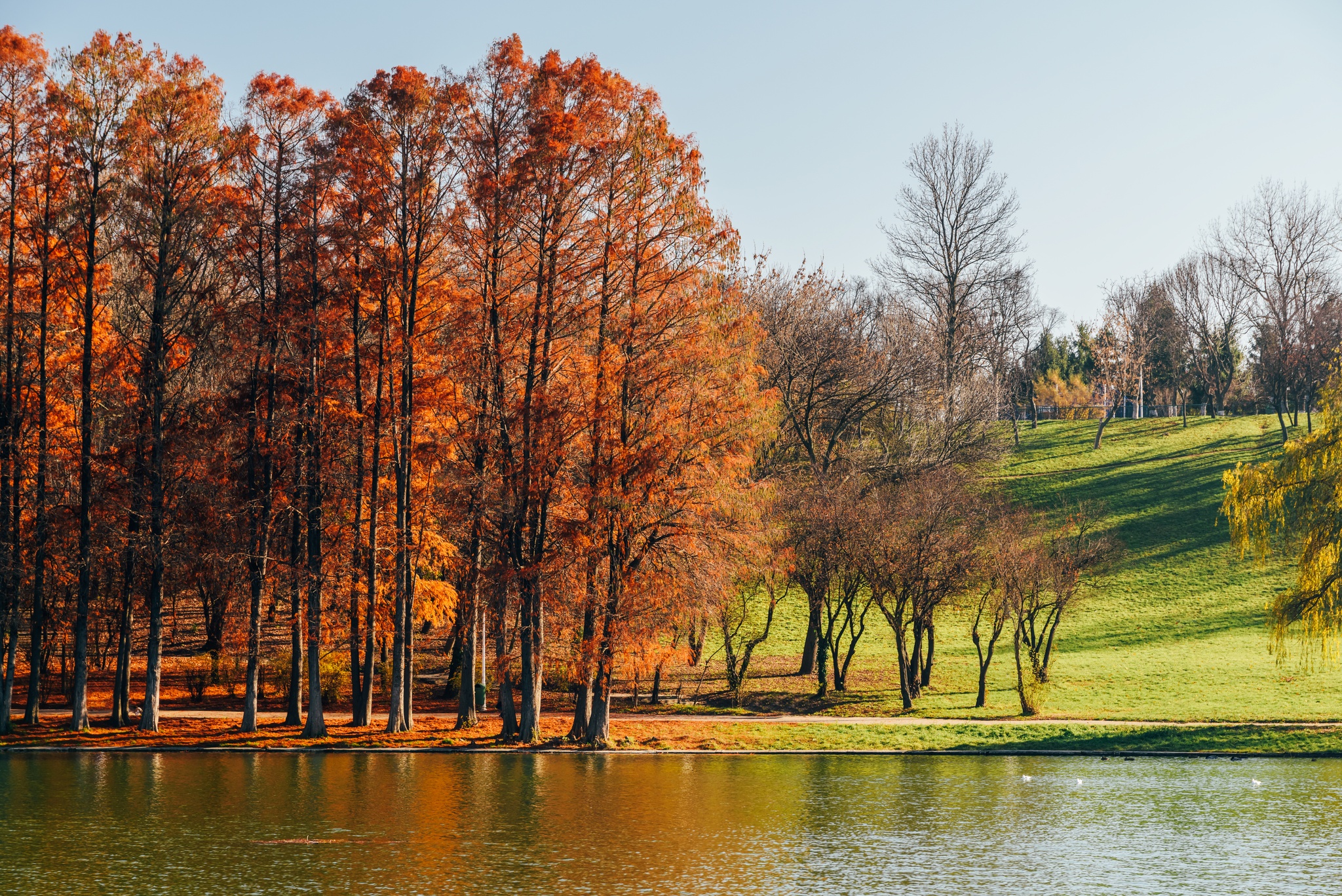 Tineretului Park