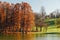 Photo of Autumn Trees Landscape Of Tineretului Park In Bucharest, Romania.