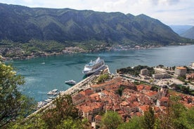 豪华 Perast 和 Njegusi 村之旅