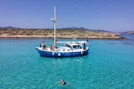 Halbprivate Kreuzfahrt nach Panteronissia, Antiparos und Despotiko