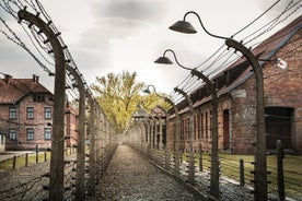 Tour de 2 días a Auschwitz y Cracovia desde Varsovia