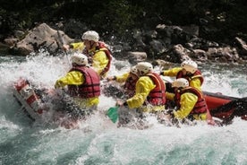 Tara-Rafting (Privattour)