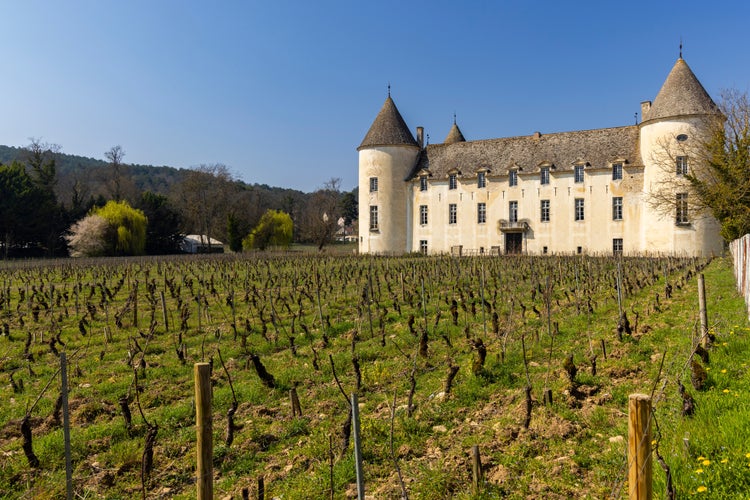 Savigny-les-Beaune castle (Chateau de Savigny-les-Beaune), Cote de Nuits, Burgundy, France