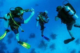 Scuba Diving Experience from Fethiye