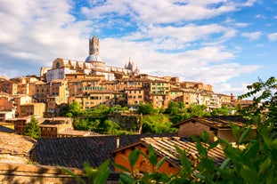 Best Time To Visit Siena: A Seasonal Guide to Tuscany’s Gem