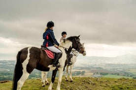 Dublin to Wicklow and Glendalough Guided Tours with Horse Riding 