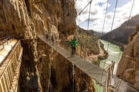 Excursion d'une journée complète sur le Caminito del Rey au départ de la Costa del Sol