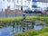 Cleethorpes Pier Gardens, North East Lincolnshire, Yorkshire and the Humber, England, United Kingdom